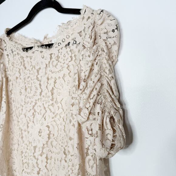 Joie XSmall XS Cream Mushroom Fanny Sheer Lace Top Ruched Sleeves Keyhole Back - Picture 3 of 9